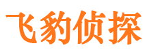 大东市侦探公司